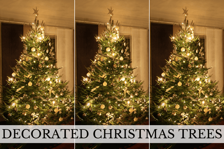 decorated christmas trees