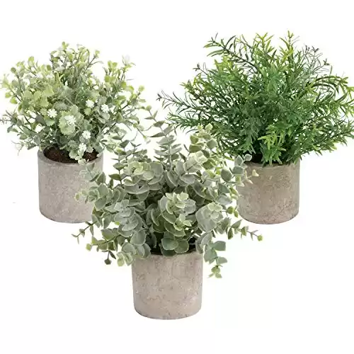 3 Pack Mini Artificial Plants