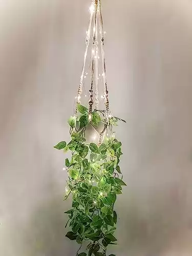 Fake Hanging Vines with Lights